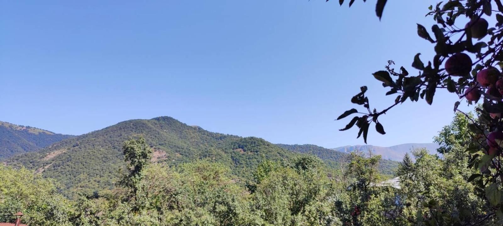 Sunny Lodge Dilijan Bagian luar foto