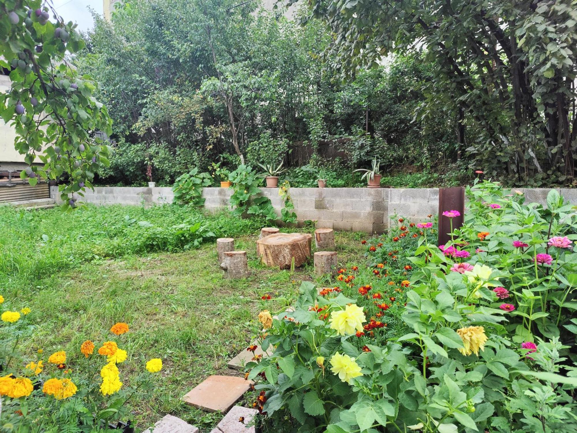 Sunny Lodge Dilijan Bagian luar foto